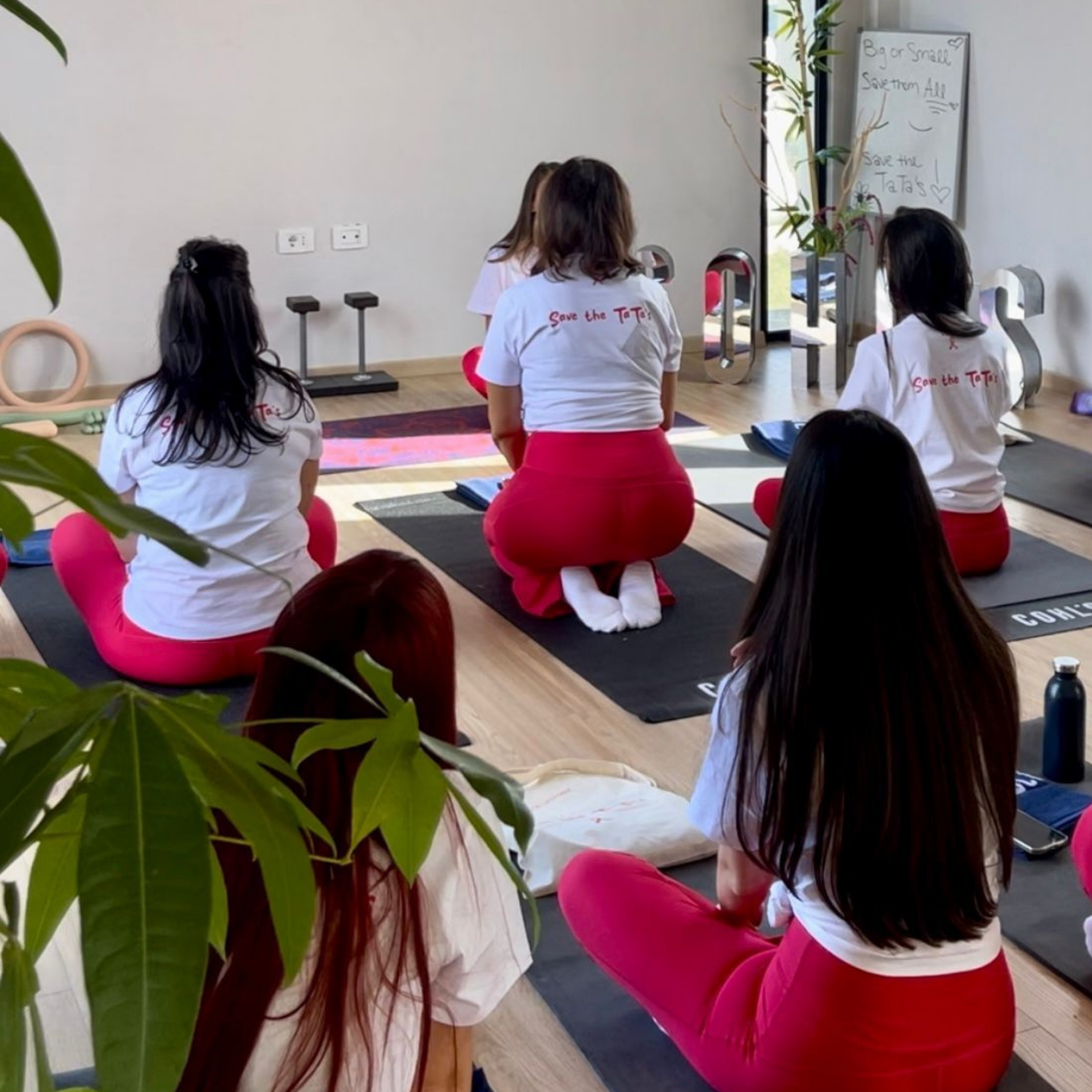 Save the Tata’s — COHL’S x CitrusCoconut for Cancer Awareness Month