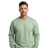 Basic Spring Sweatshirt 24/25 for Men